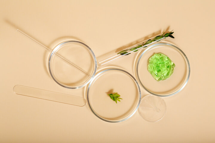 Botanical serum in petri dishes with a green leaf